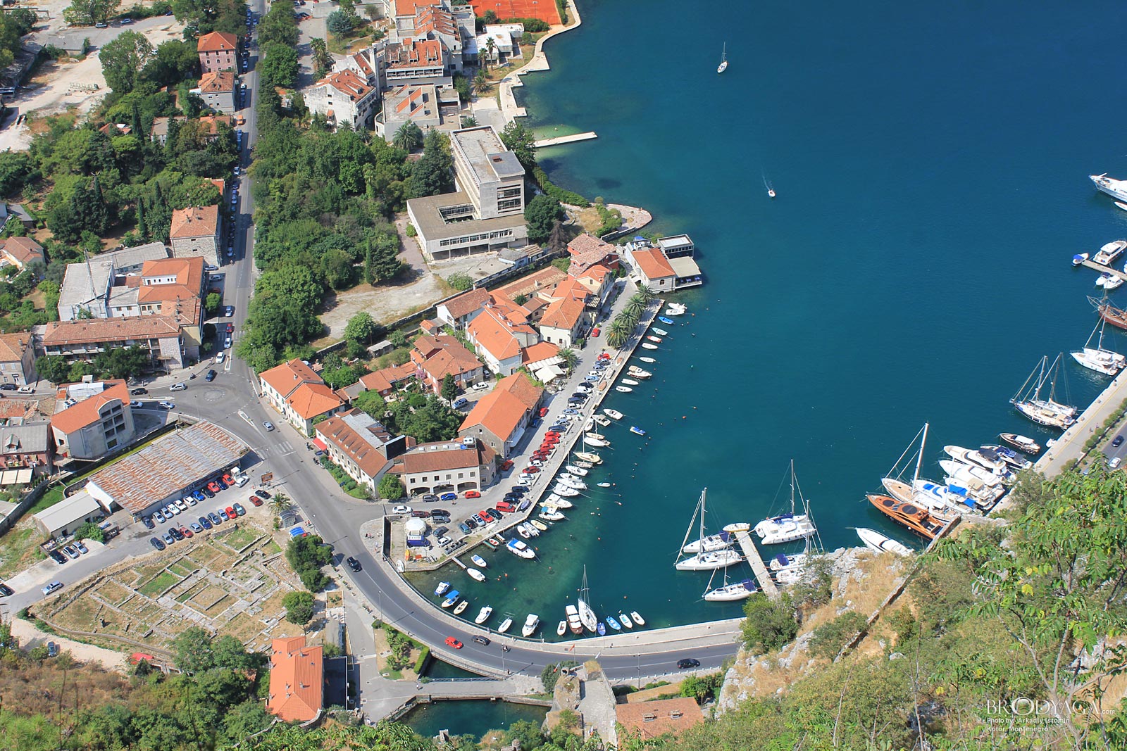 Kotor